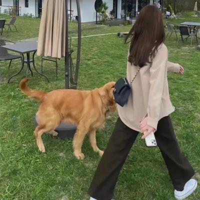 巴黎深渊
