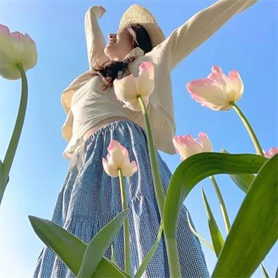 纽约鸟王